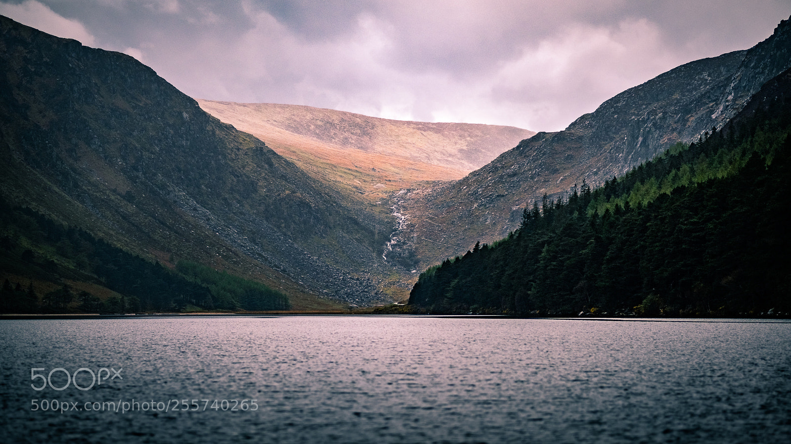 Fujifilm X-Pro2 sample photo. Upper lake - glendalough photography