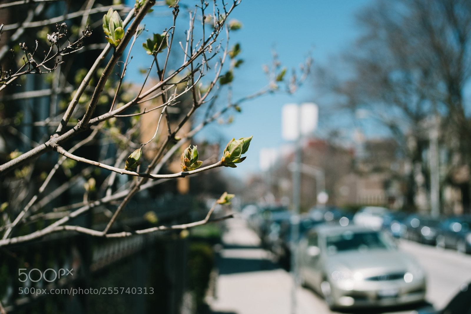 Fujifilm X-T20 sample photo. Some bokeh photography