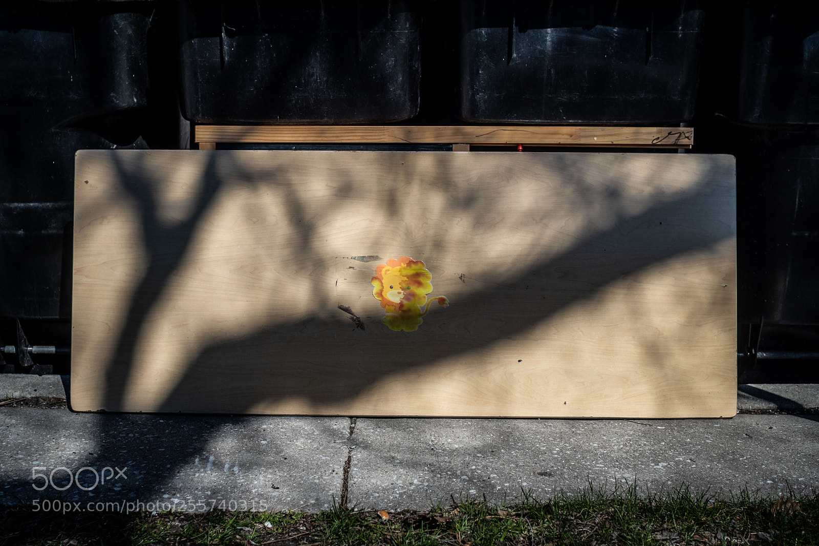 Fujifilm X-T20 sample photo. Ominous lion photography