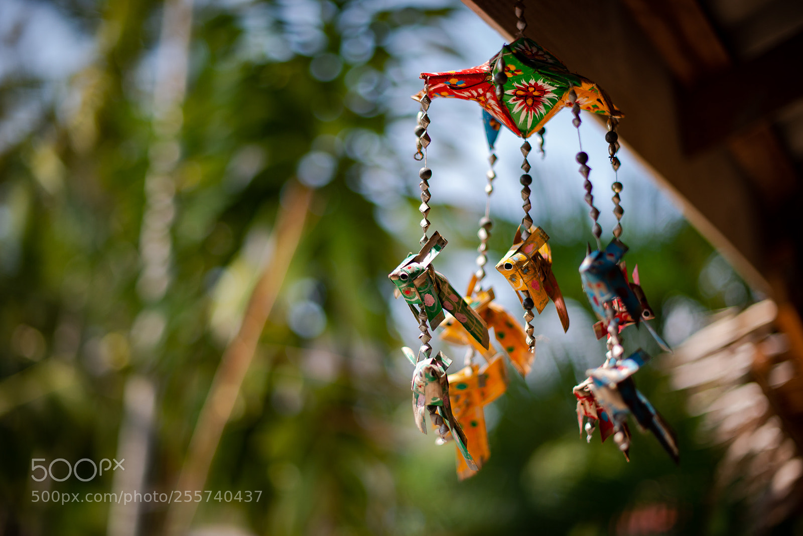 Nikon D800E sample photo. Untitled photography