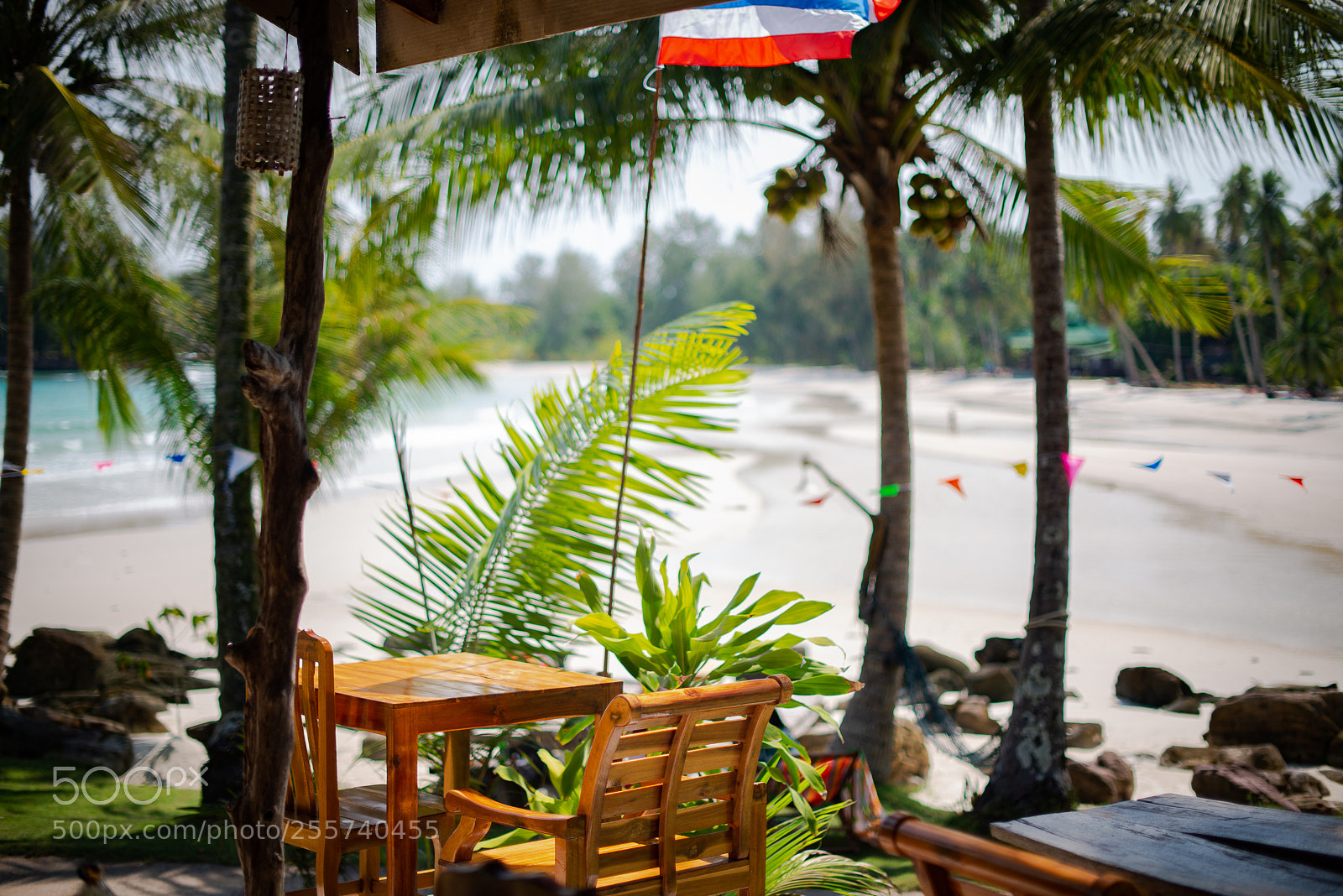 Nikon D800E sample photo. Untitled photography