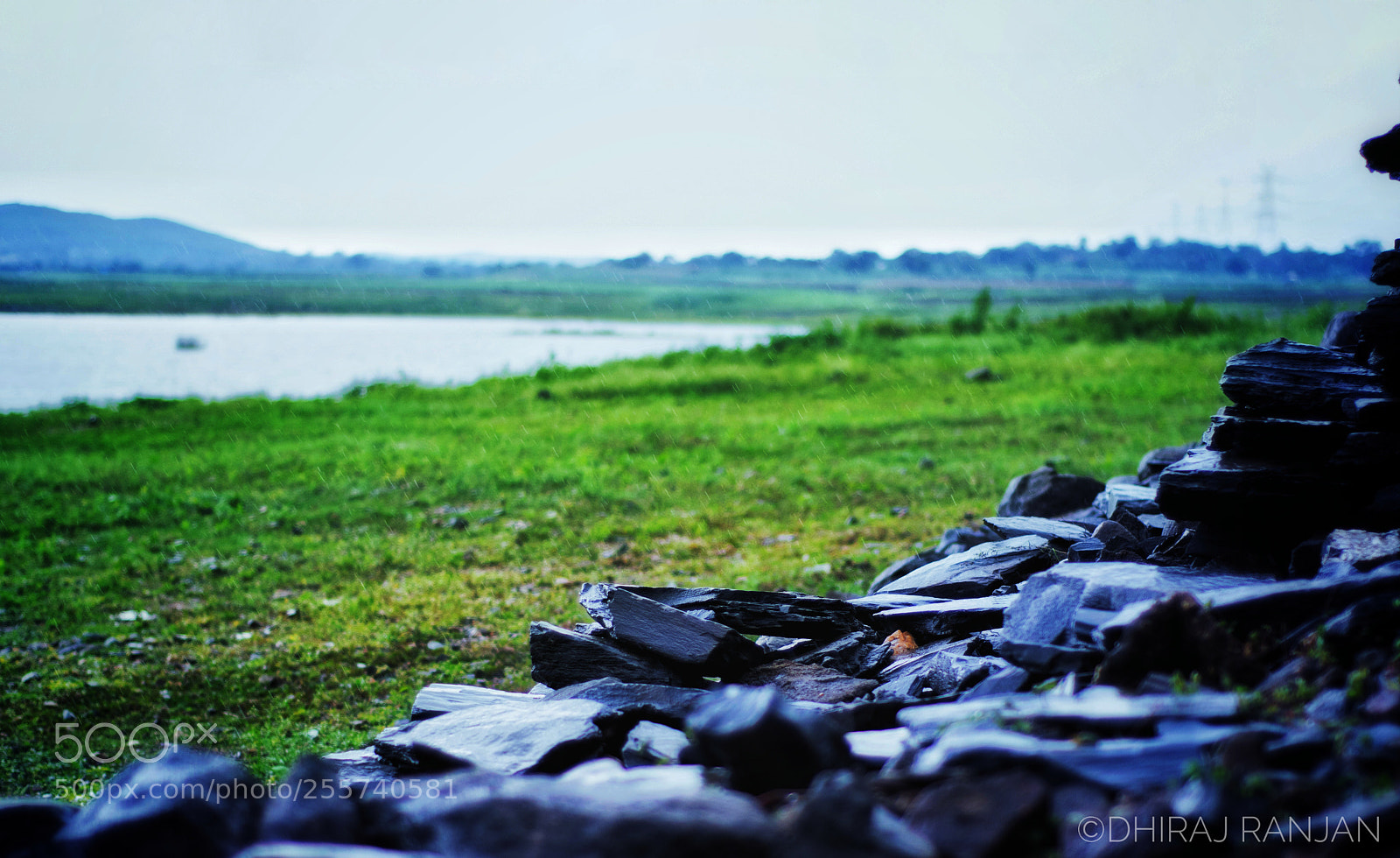 Nikon D3300 sample photo. Untitled photography