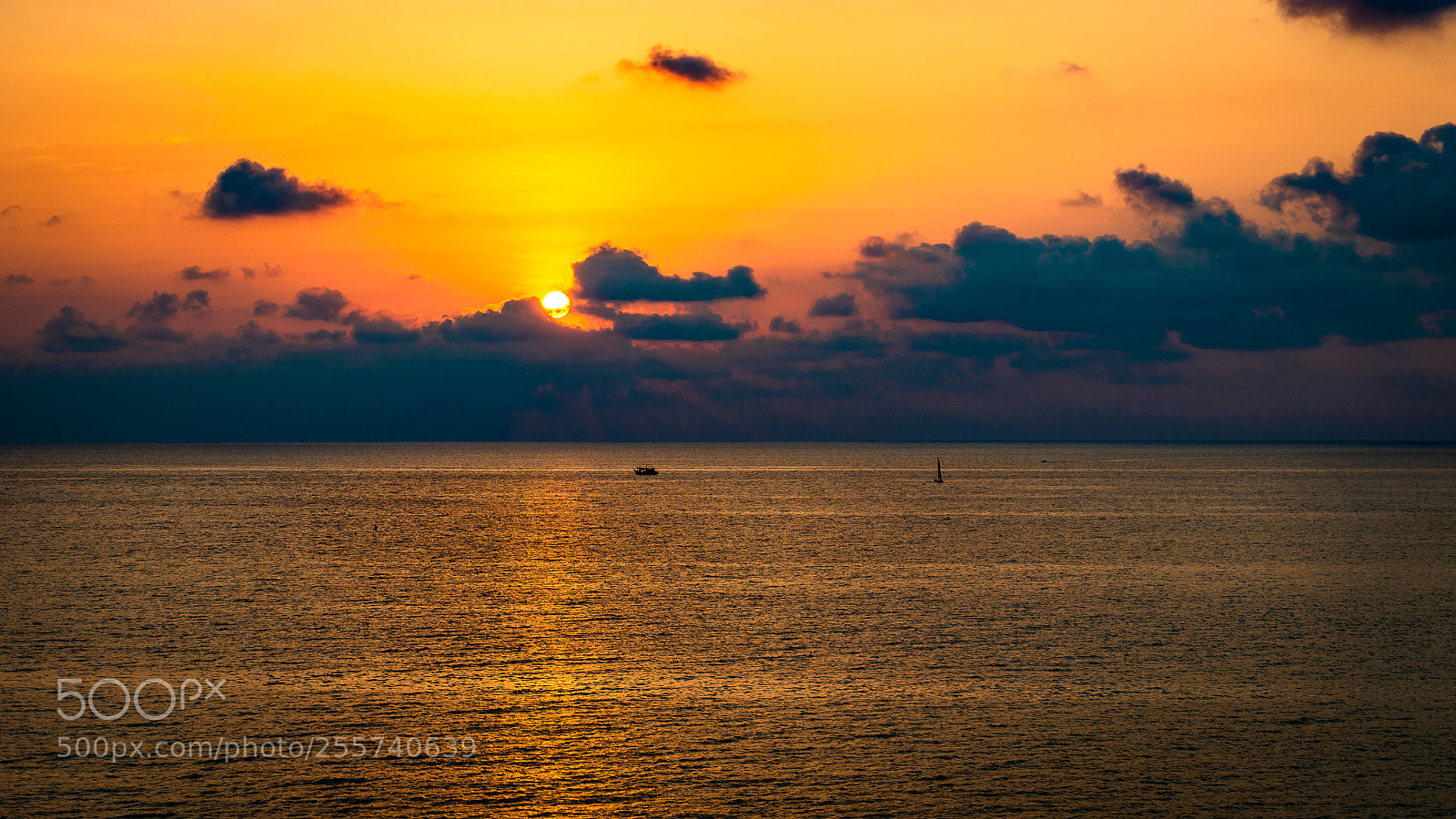 Nikon D800E sample photo. Untitled photography