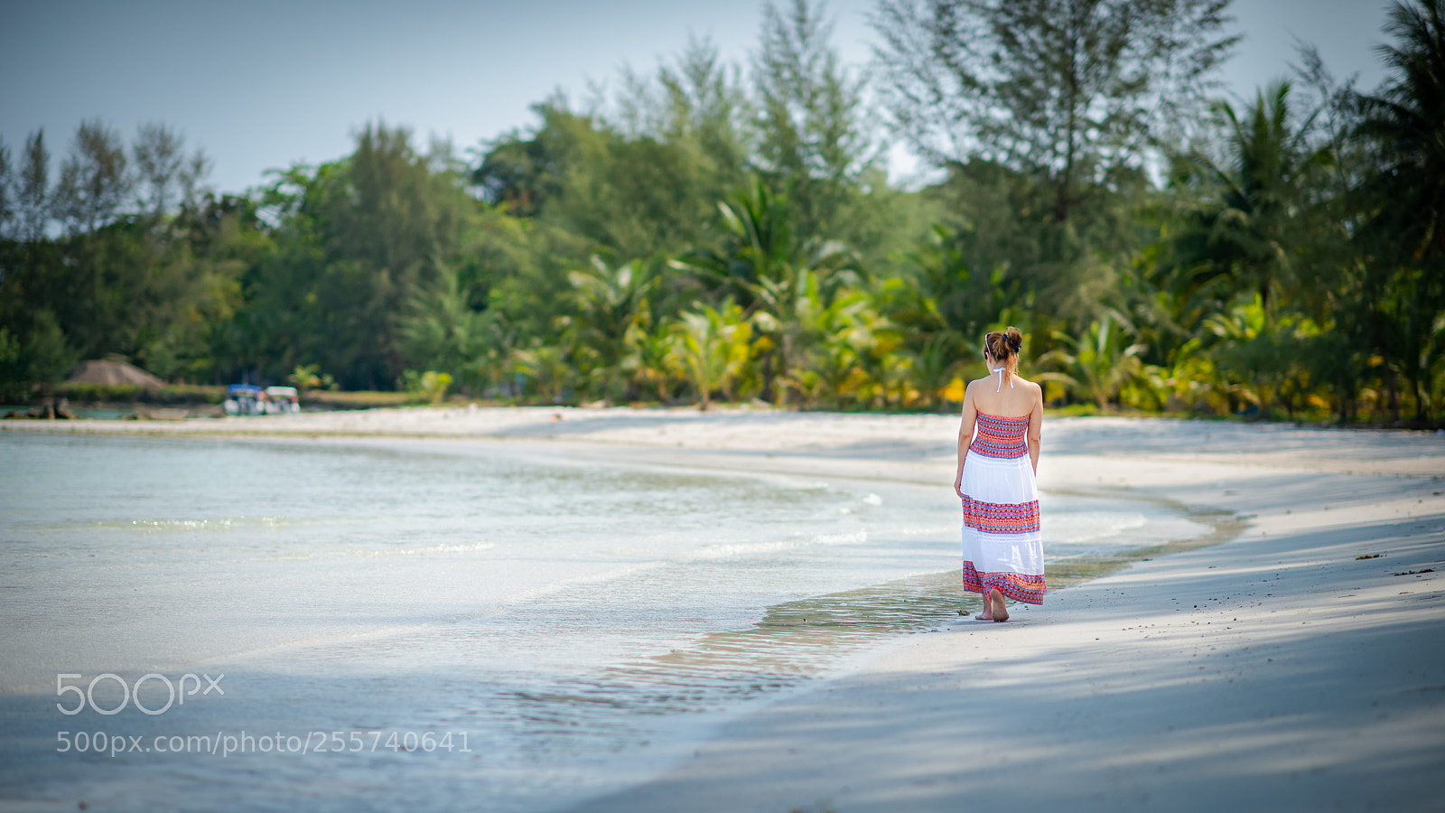 Nikon D800E sample photo. Edit photography