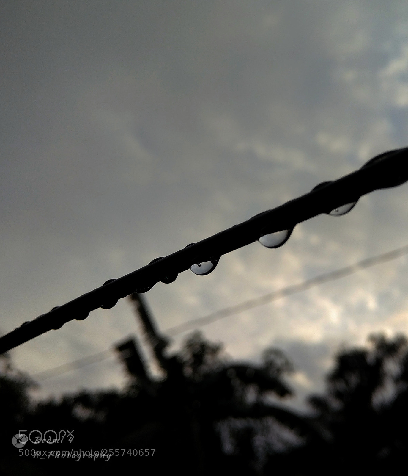 Xiaomi Redmi 4 Pro sample photo. Raindrops_ photography