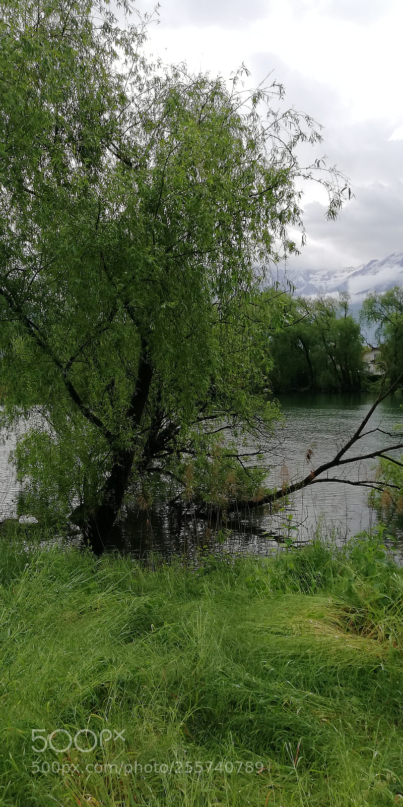 HUAWEI Mate 10 Lite sample photo. Fiume photography