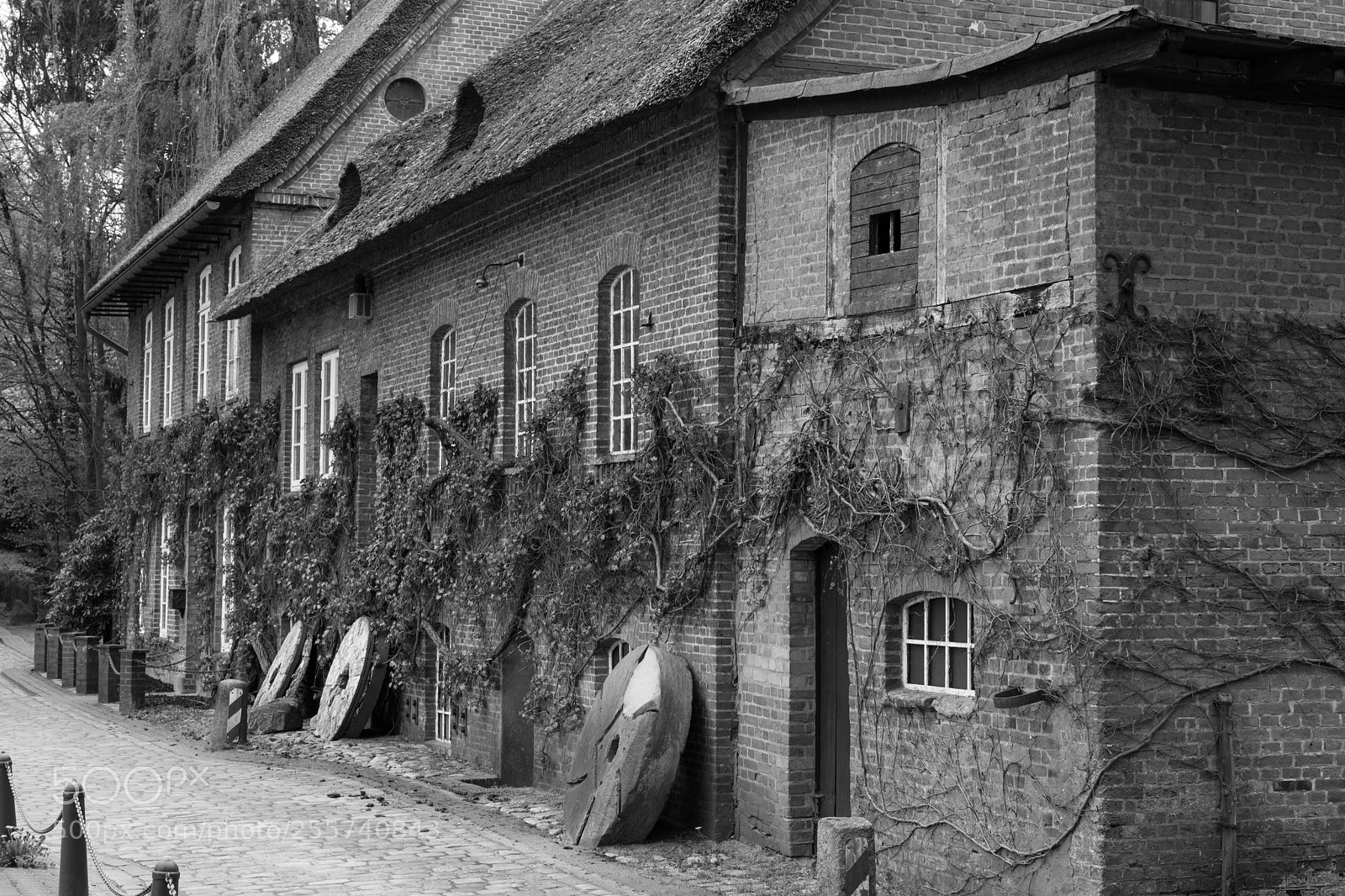 Nikon D5600 sample photo. Wassermühle ahrensburg photography