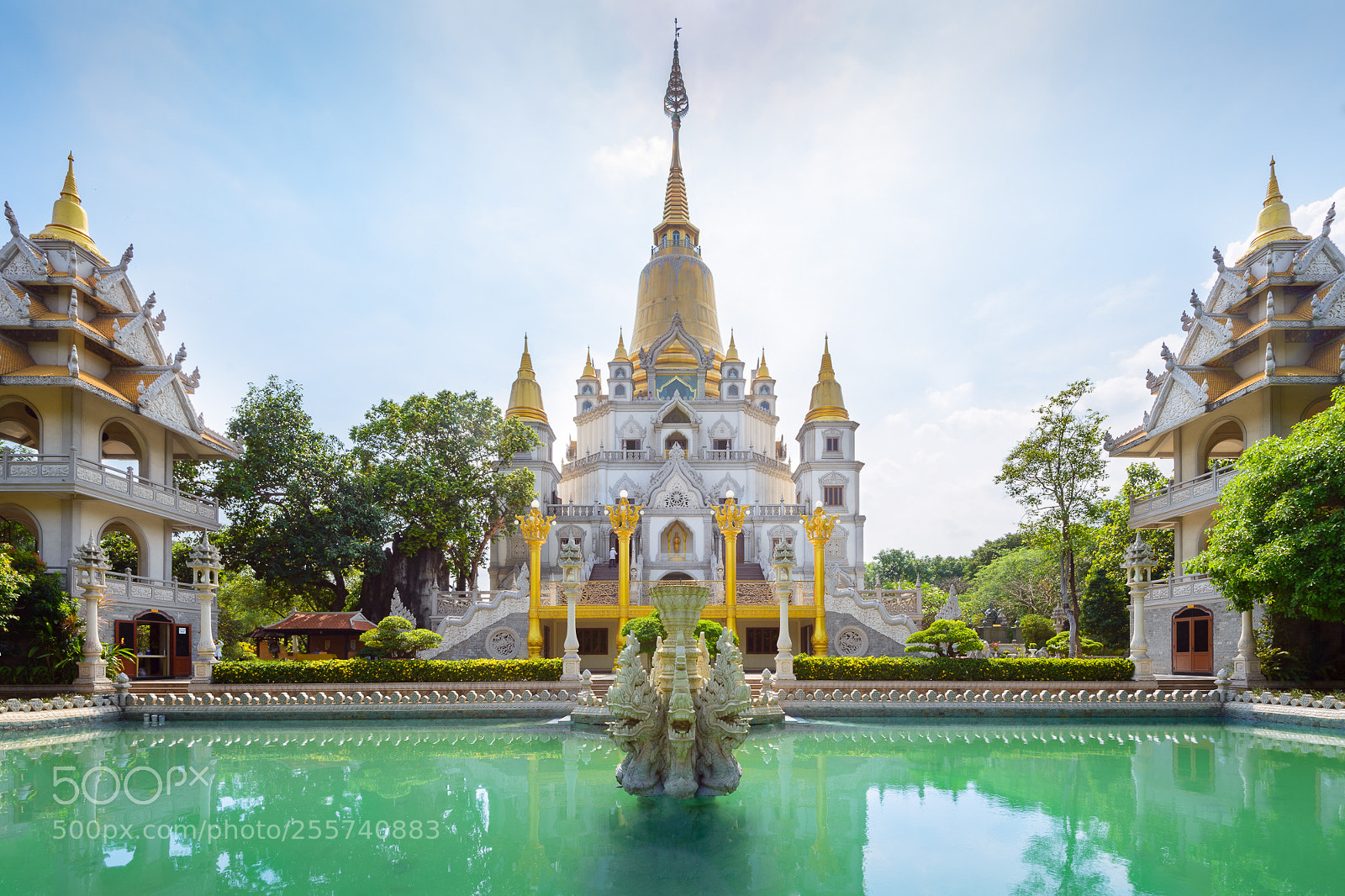 Nikon D800 sample photo. Buu long pagoda photography
