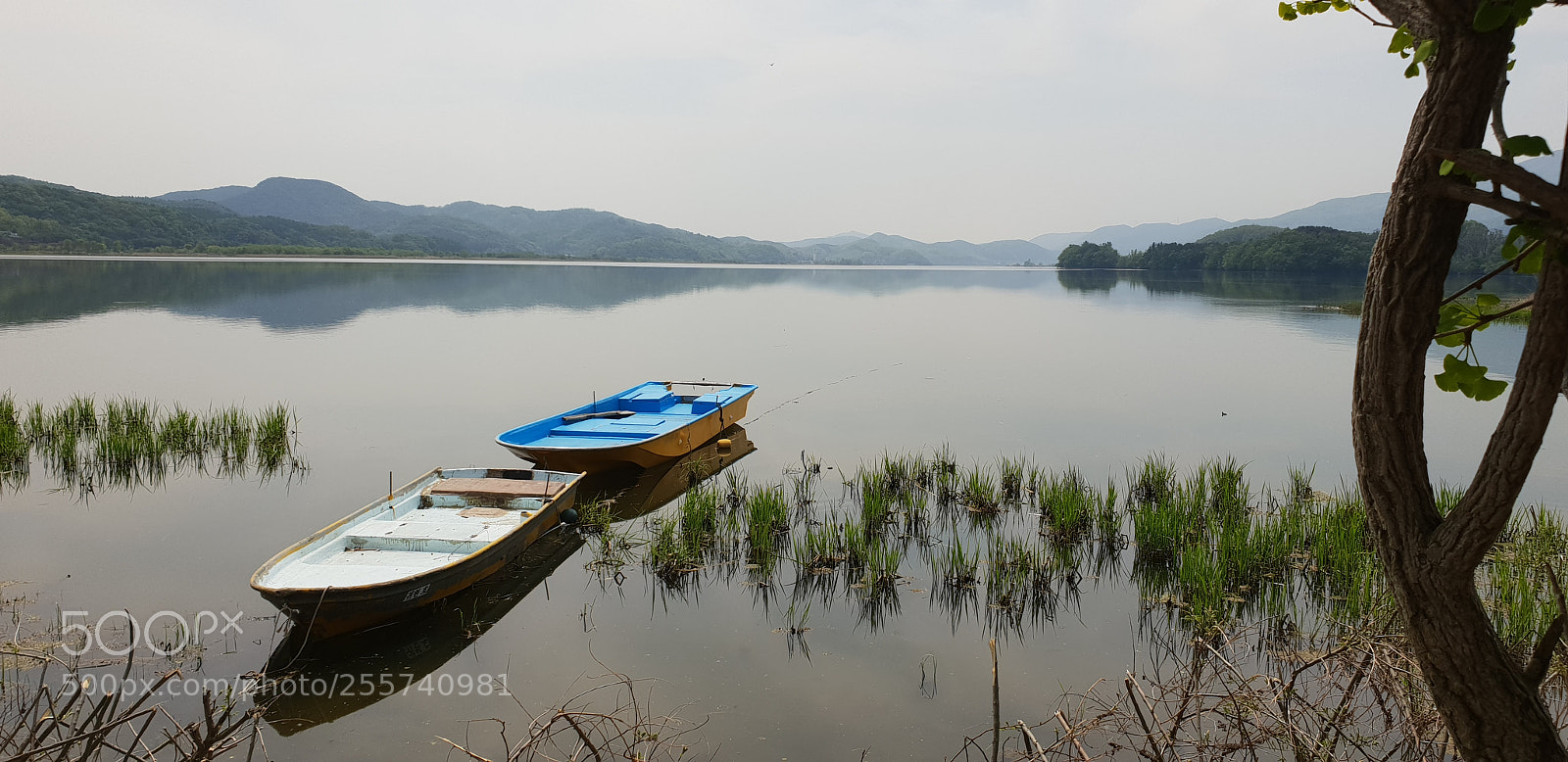 Samsung Galaxy S9 sample photo. 두물머리 photography