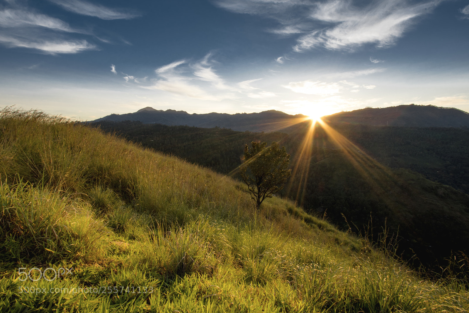 Canon EOS 80D sample photo. Little adam's peak, sri photography