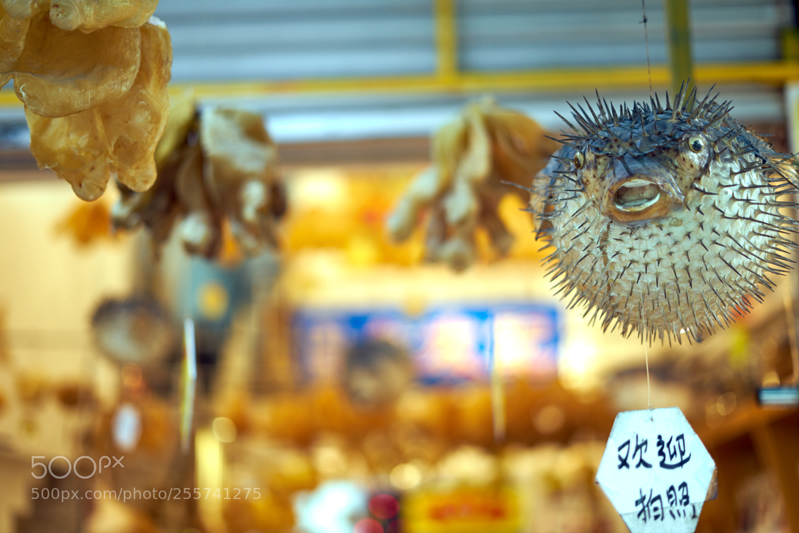 Sony a7 sample photo. Hong kong photography