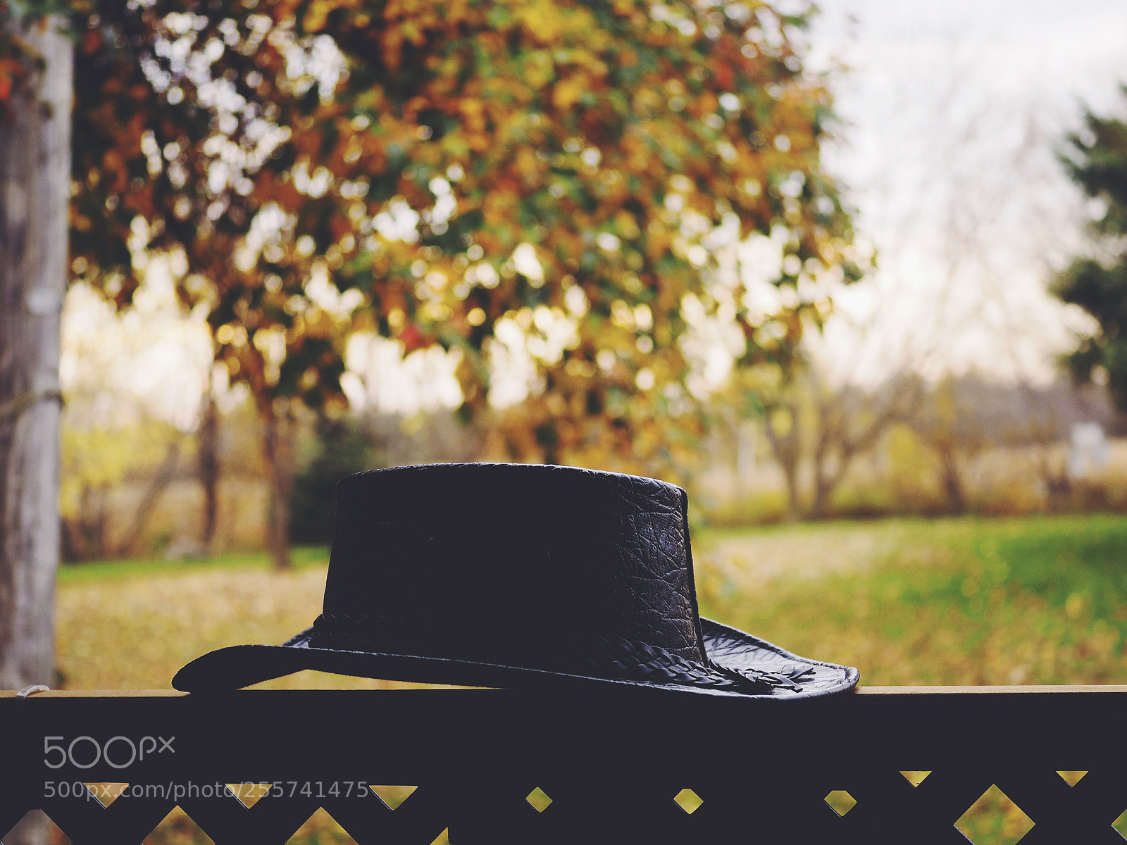 Olympus OM-D E-M1 sample photo. A black hat. photography