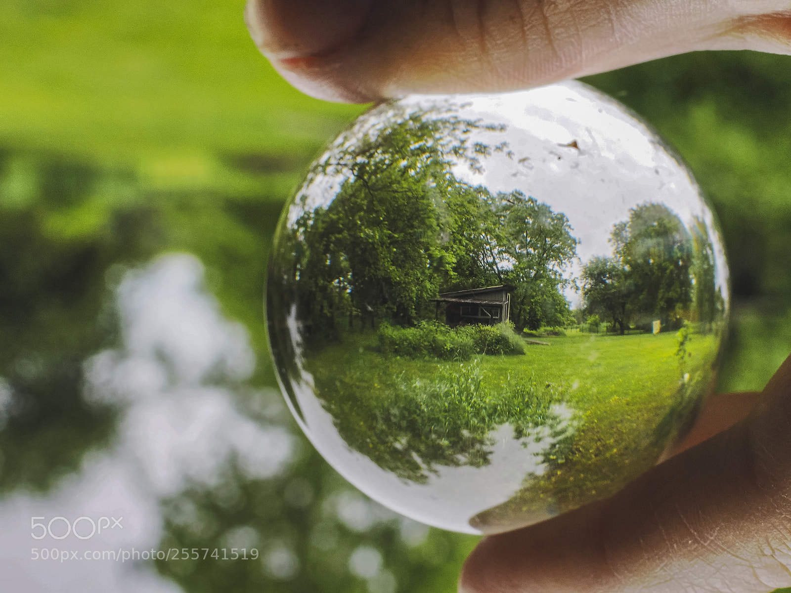Olympus OM-D E-M1 sample photo. Through a glass ball. photography