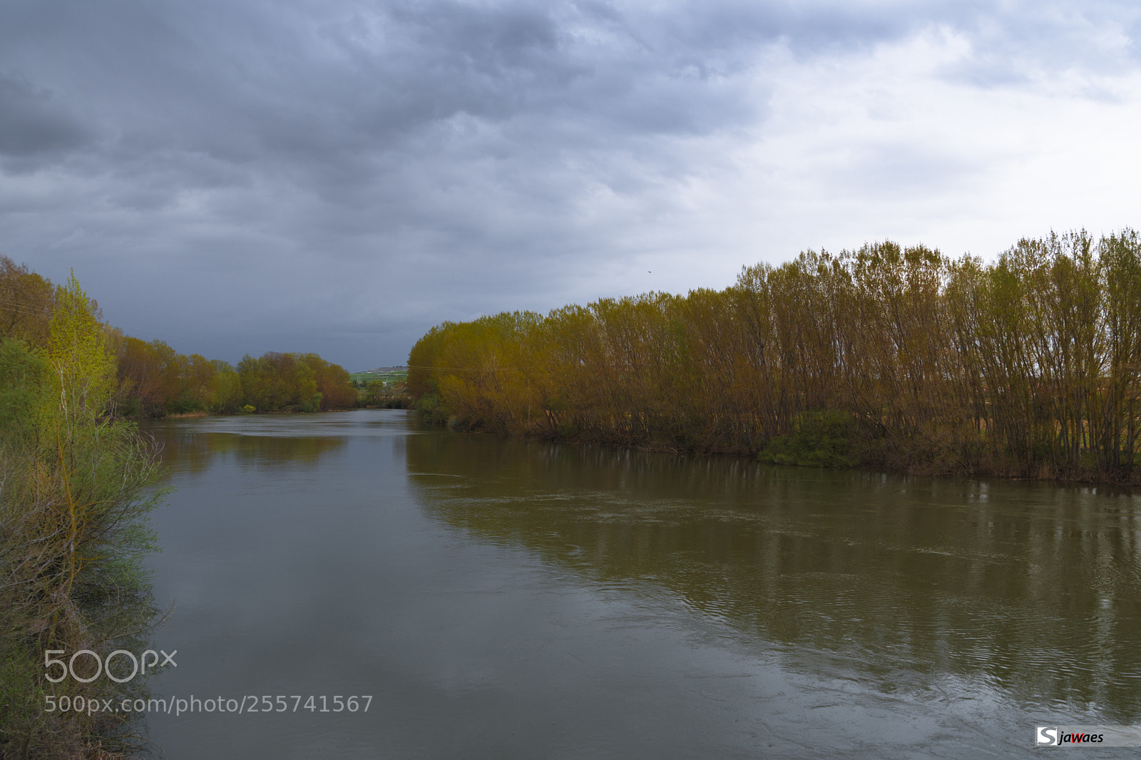 Nikon D7200 sample photo. The river photography