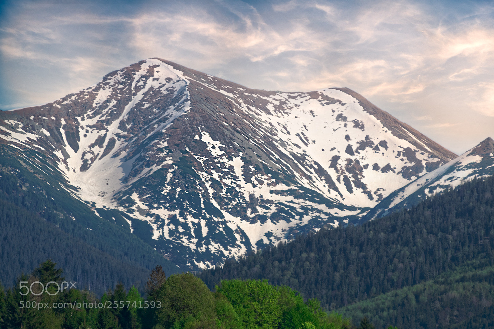 Nikon D850 sample photo. White peak photography