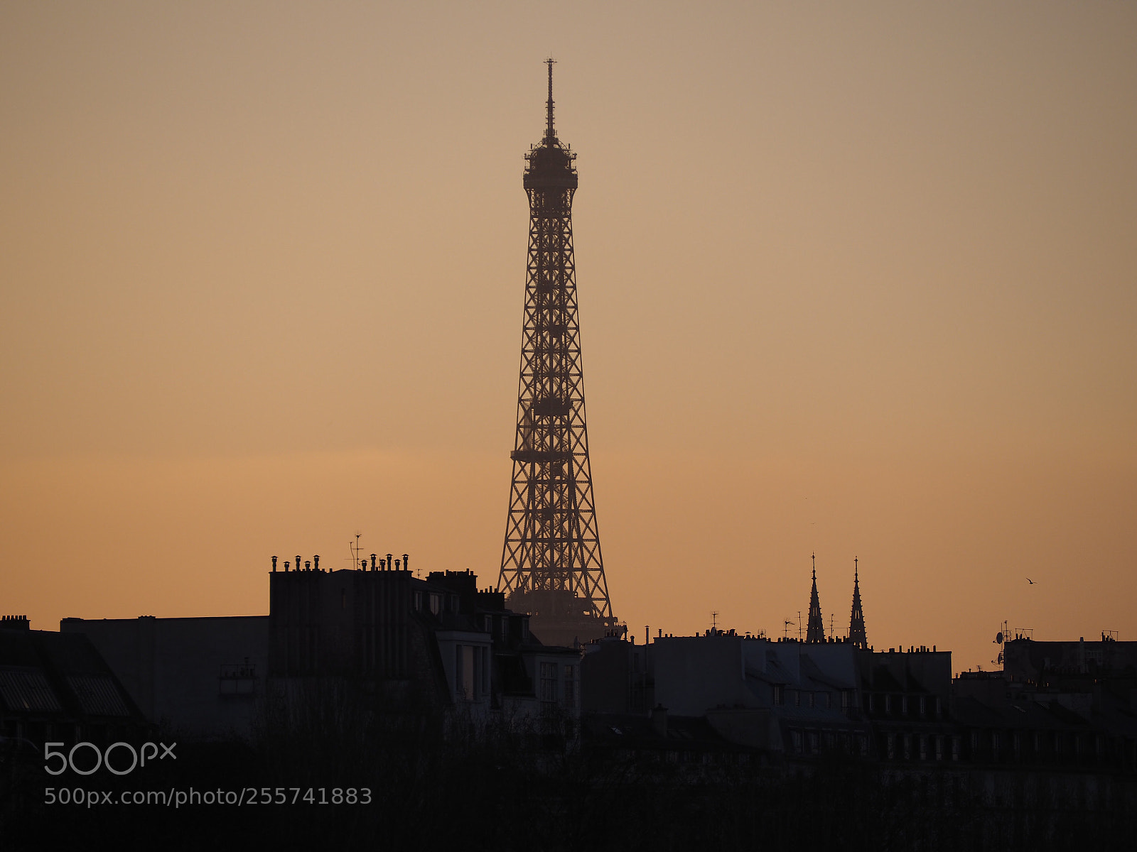 Olympus OM-D E-M10 II sample photo. Paris photography
