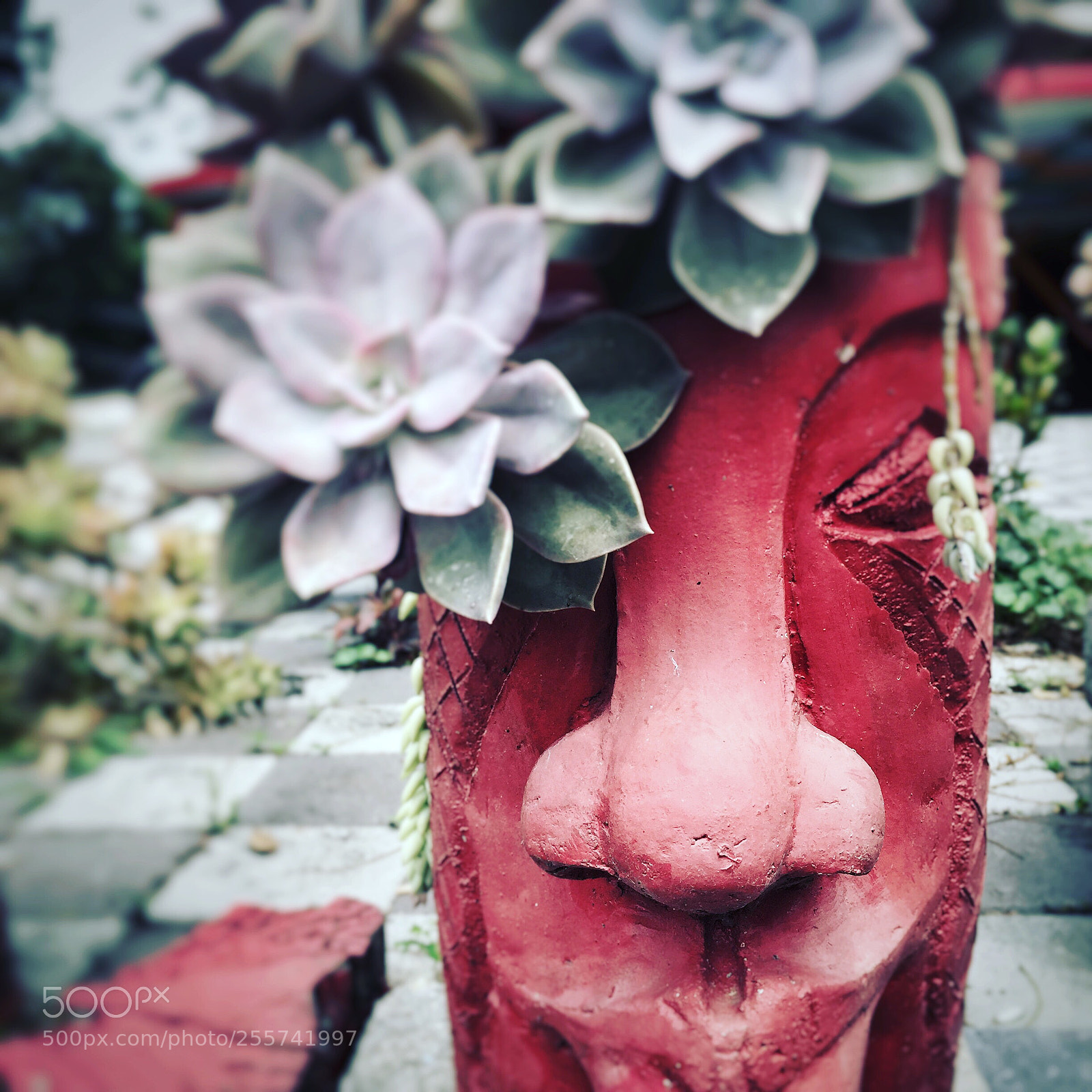 Apple iPhone 6 sample photo. 比一般木雕不同的手法，這位藝術工作者加上了盆植搭配，讓作品更增添生命力 photography