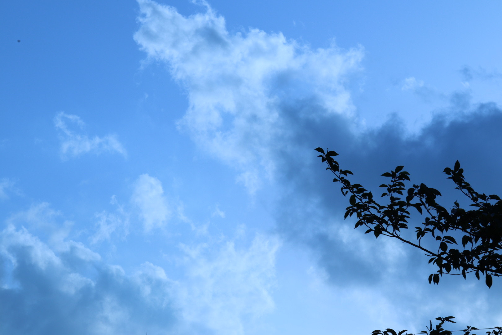 Canon EOS M50 (EOS Kiss M) + Canon EF-M 18-150mm F3.5-6.3 IS STM sample photo. Spring sky photography