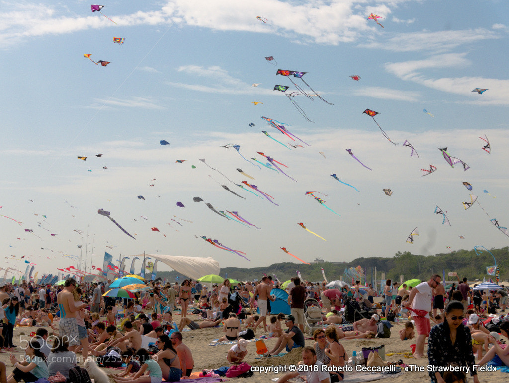 Panasonic Lumix DMC-LX100 sample photo. Festival degli aquiloni photography