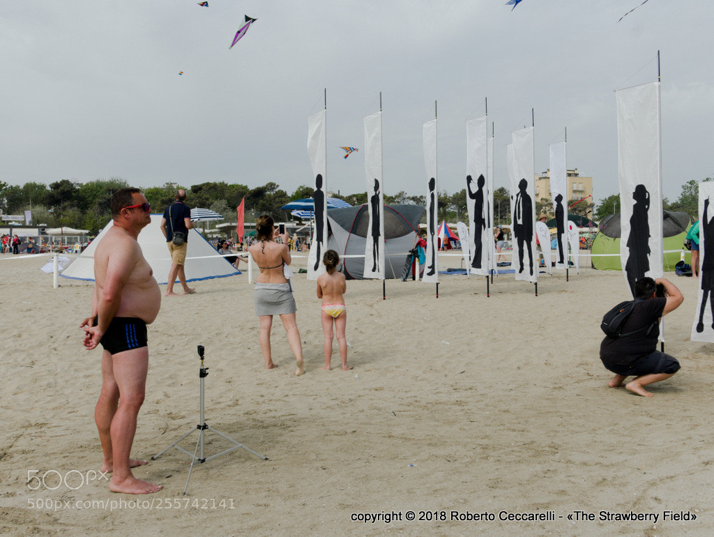 Panasonic Lumix DMC-LX100 sample photo. Festival degli aquiloni photography