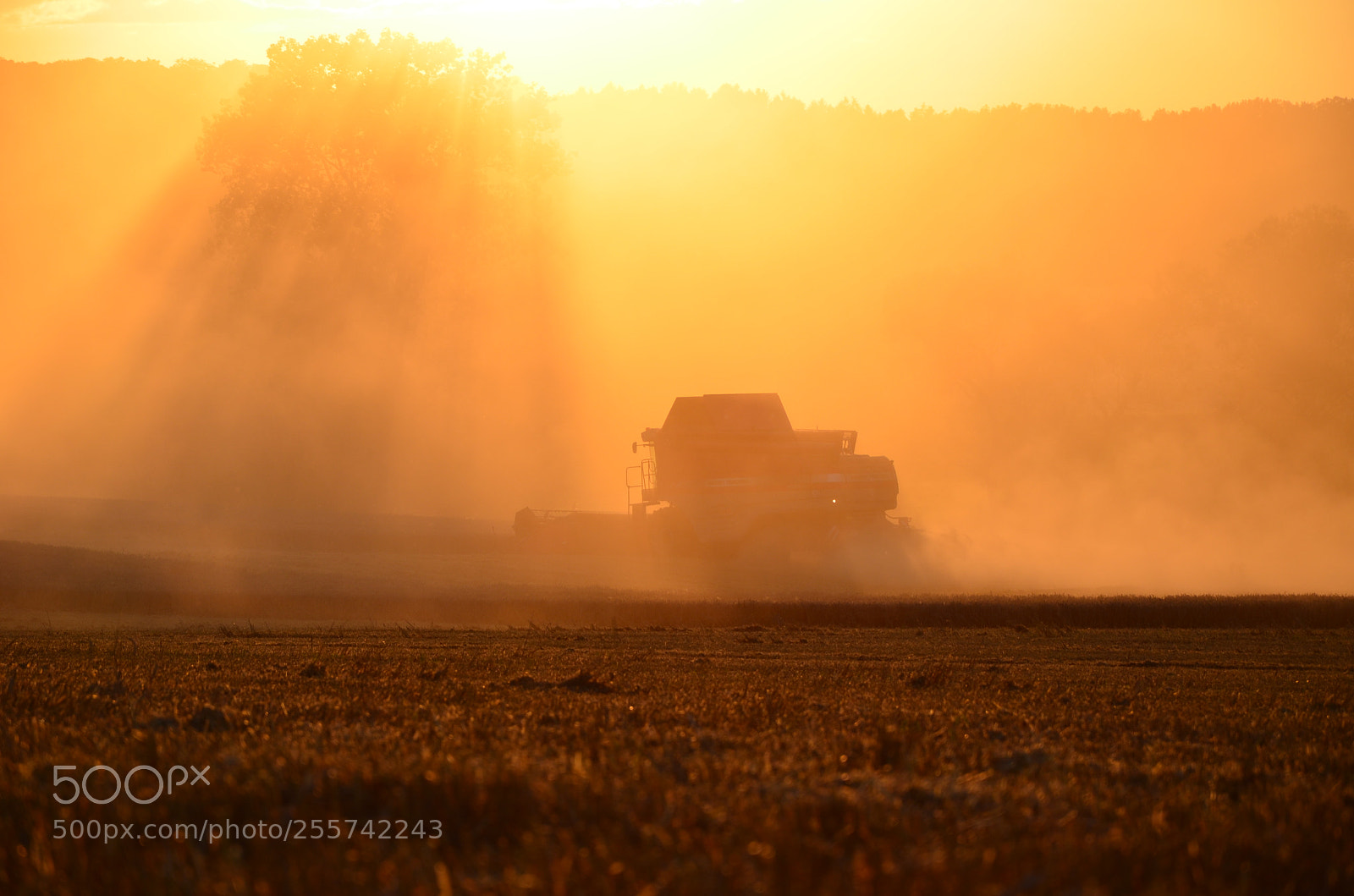Nikon D5100 sample photo. Harvest time ... photography