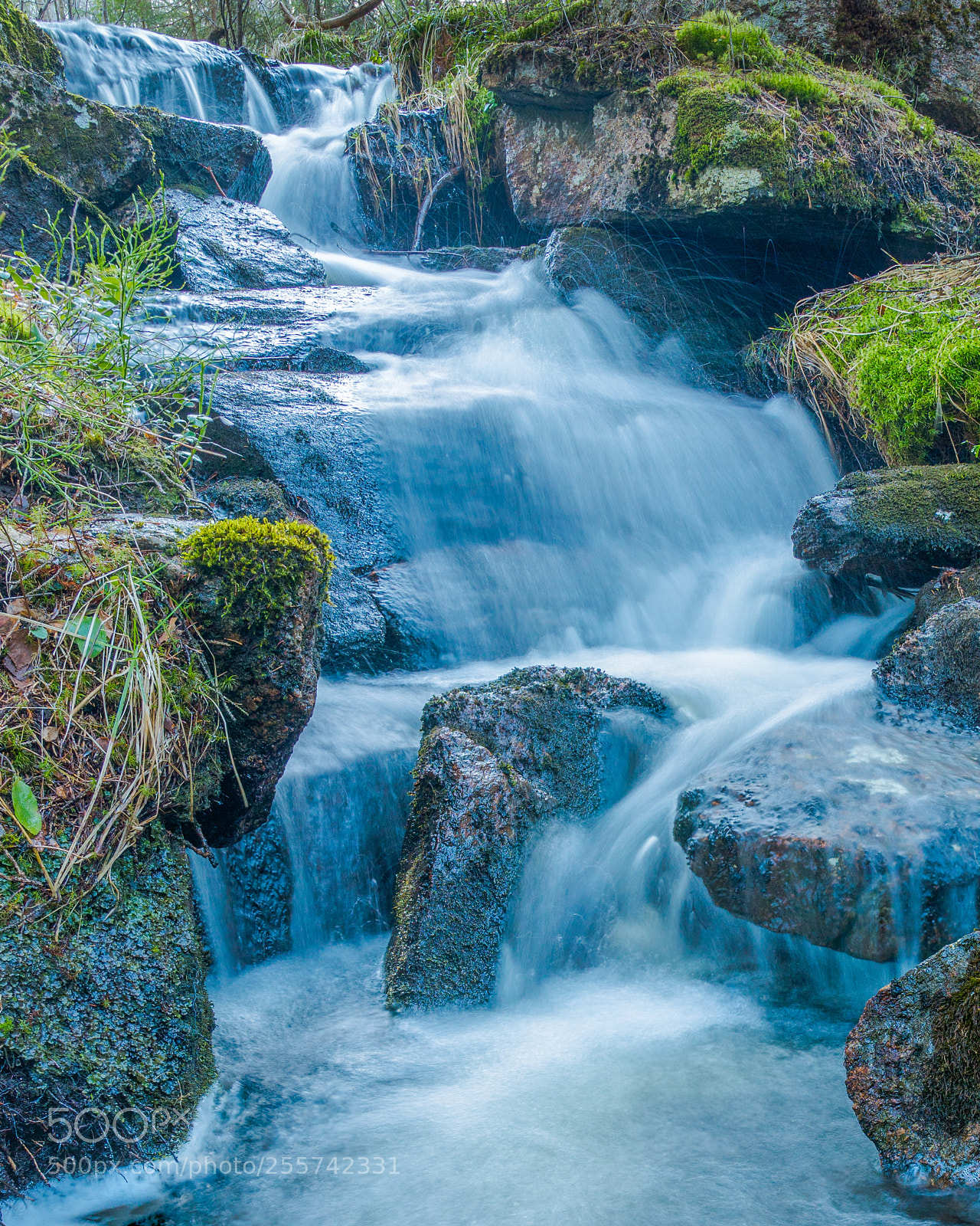 Sony a6500 sample photo. Spring creek photography