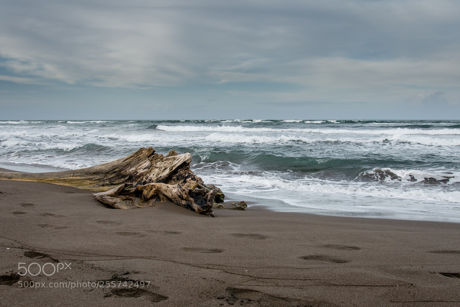 Nikon D7100 sample photo. Costarica tortuguero ddsc photography