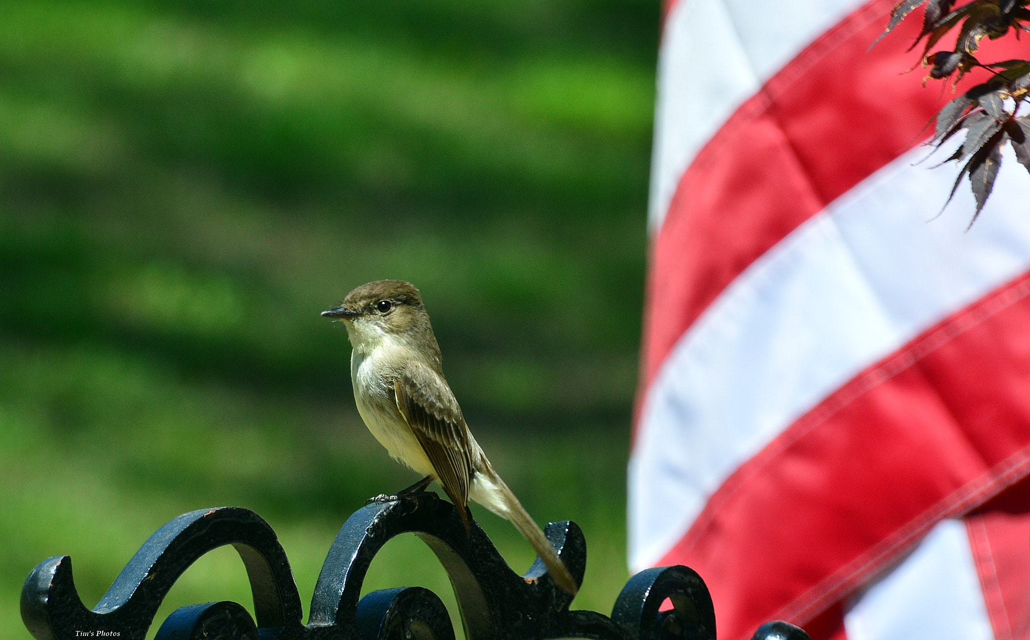 Nikon D3200 sample photo. Handsome photography