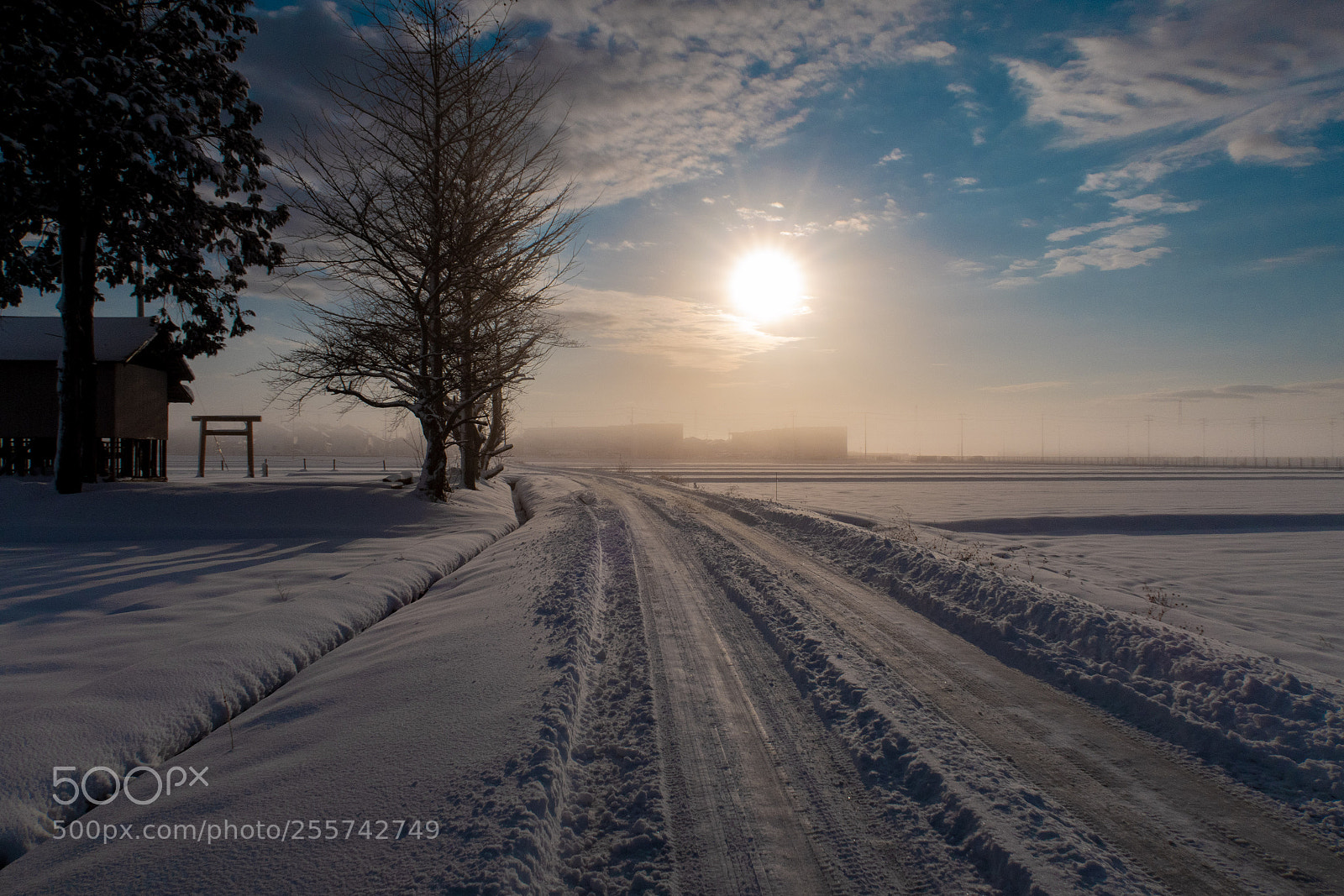 Canon PowerShot G7 X Mark II sample photo. Snow morning2 photography