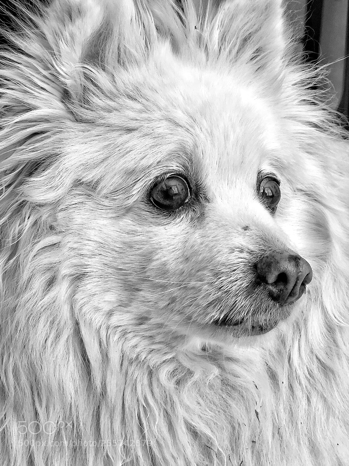 Apple iPhone 8 Plus sample photo. Untitled photography