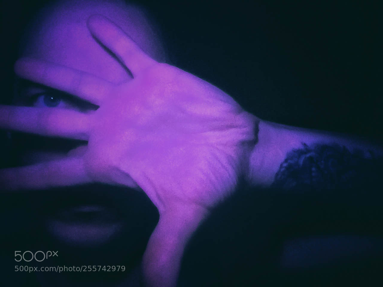 Apple iPhone 5s sample photo. Ultraviolet photography