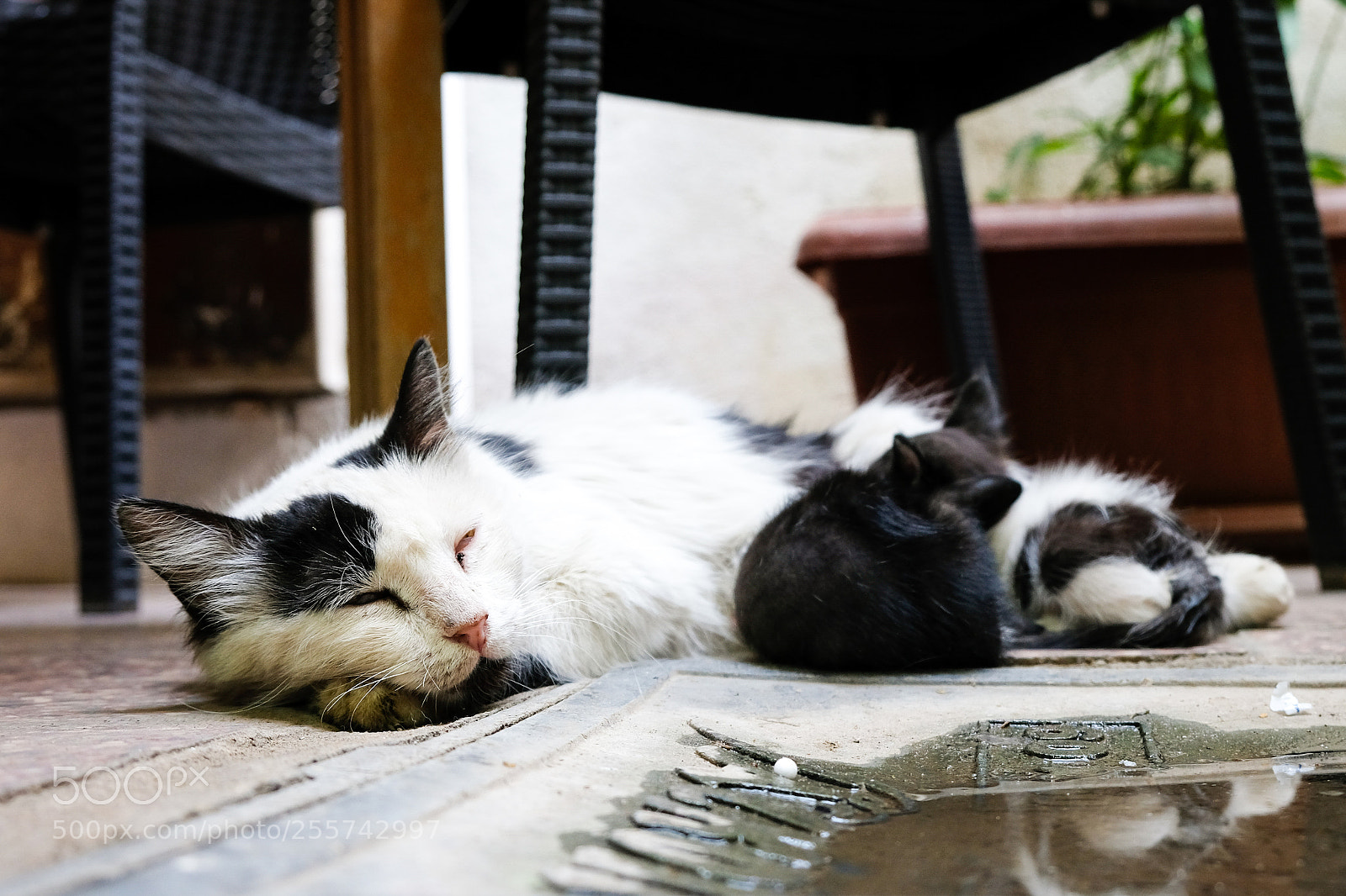 Fujifilm X-T20 sample photo. Nap time photography
