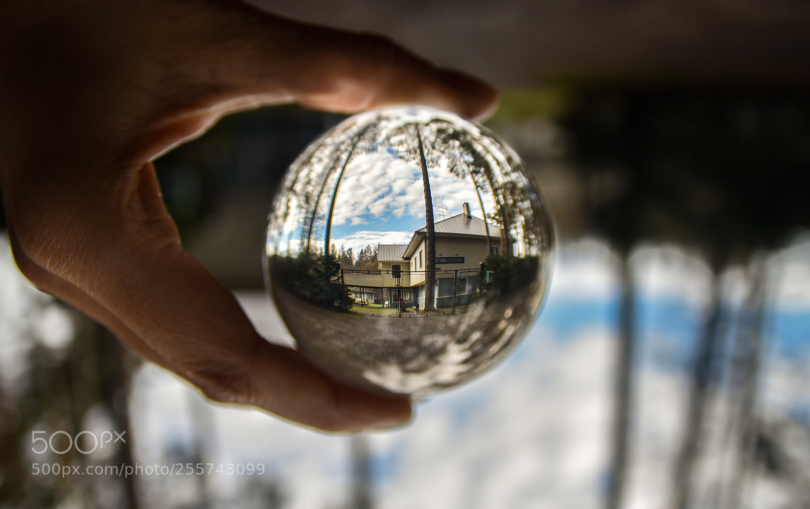 Nikon D5500 sample photo. Untitled photography