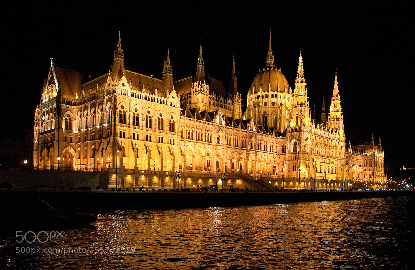 Nikon D300S sample photo. The hungarian parliament at photography