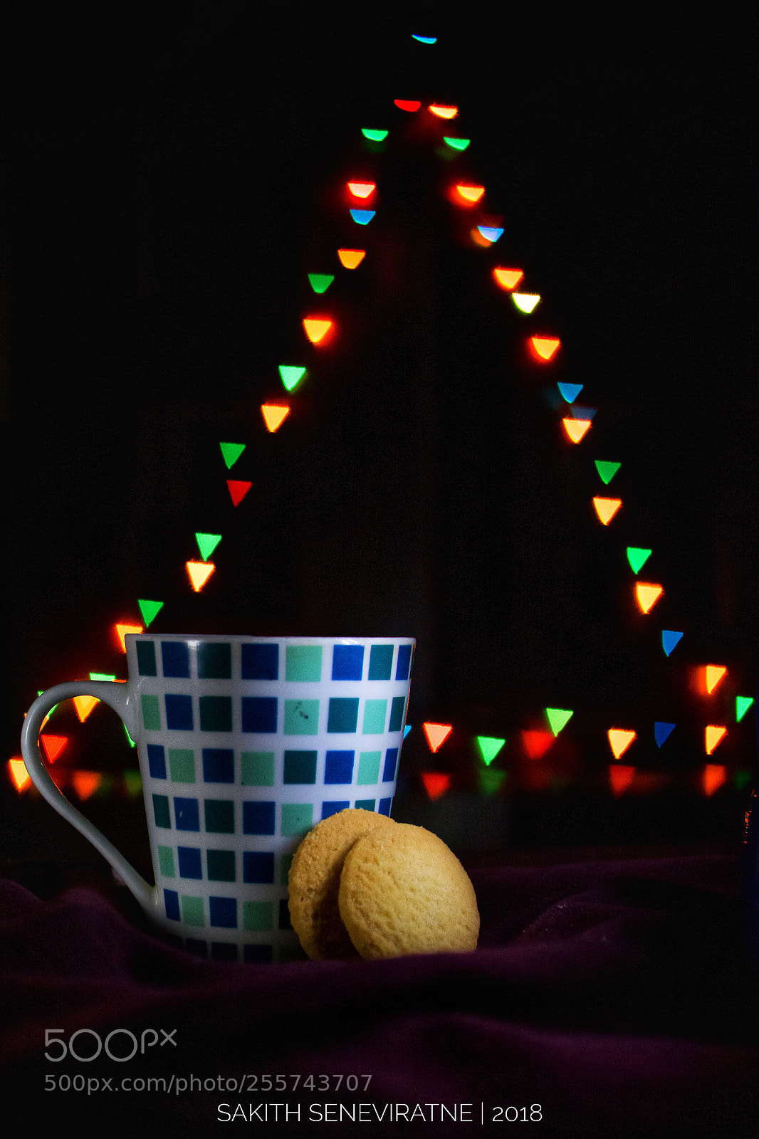 Nikon D7100 sample photo. Untitled photography