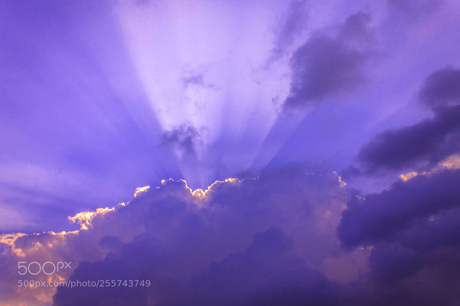 Canon EOS 40D sample photo. Sun ray photography