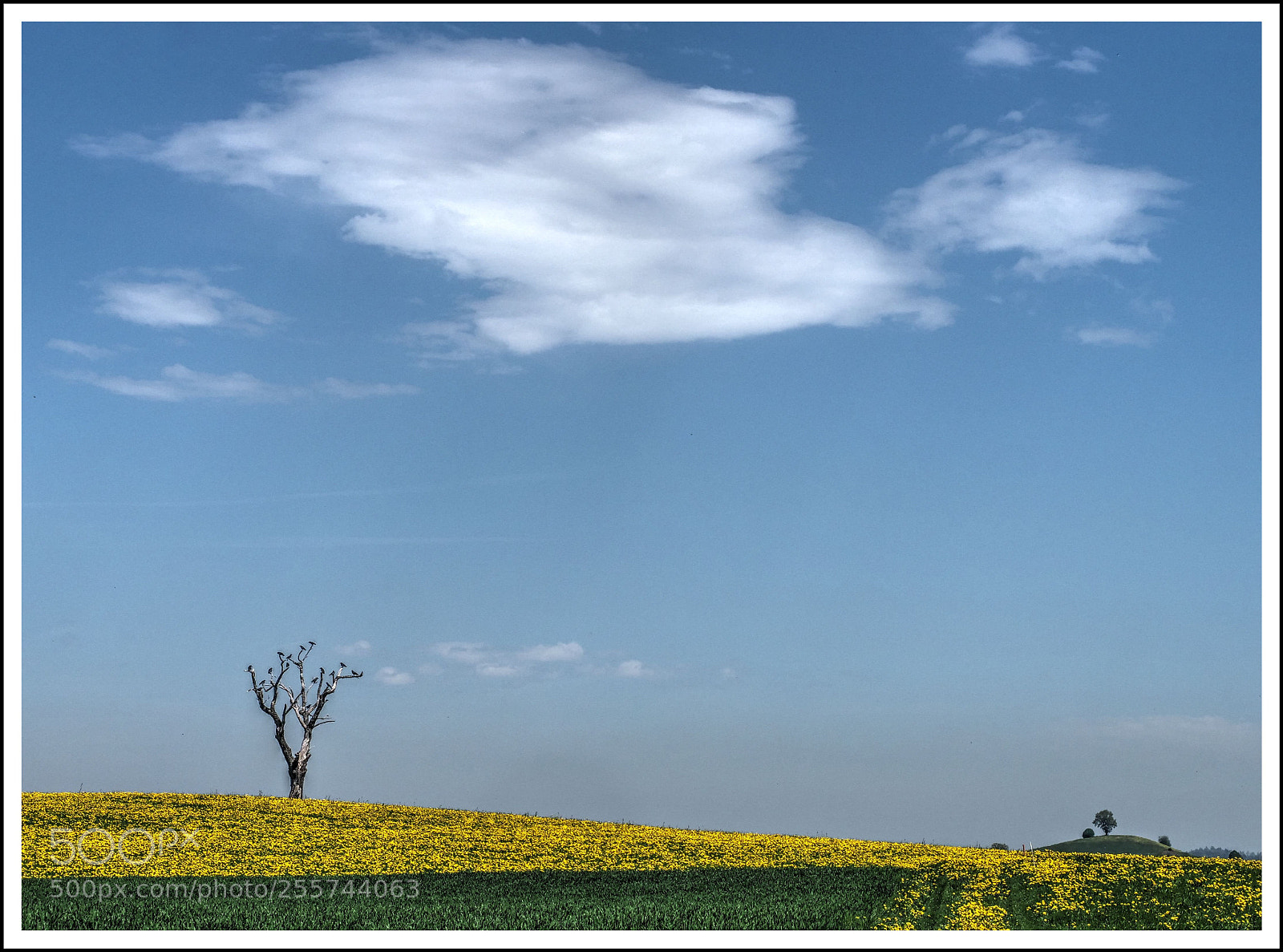 Olympus OM-D E-M1 Mark II sample photo. K r h e photography