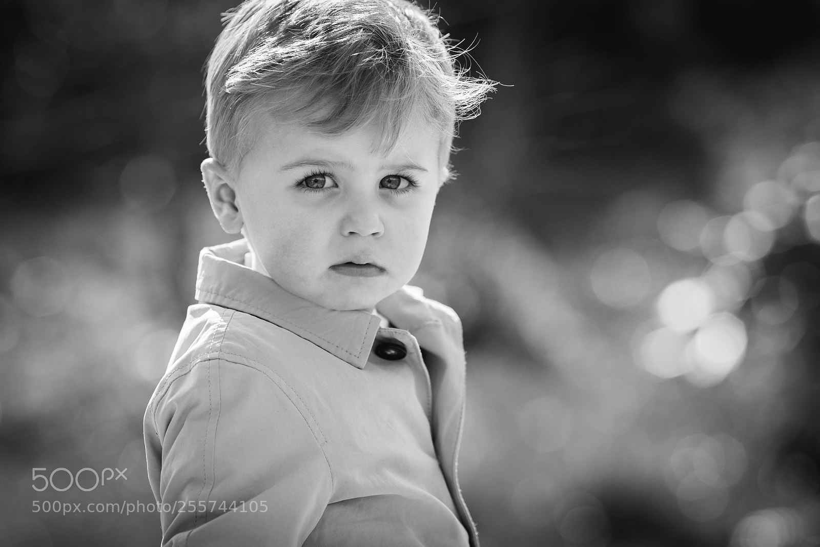 Canon EOS 6D sample photo. The little paul in photography