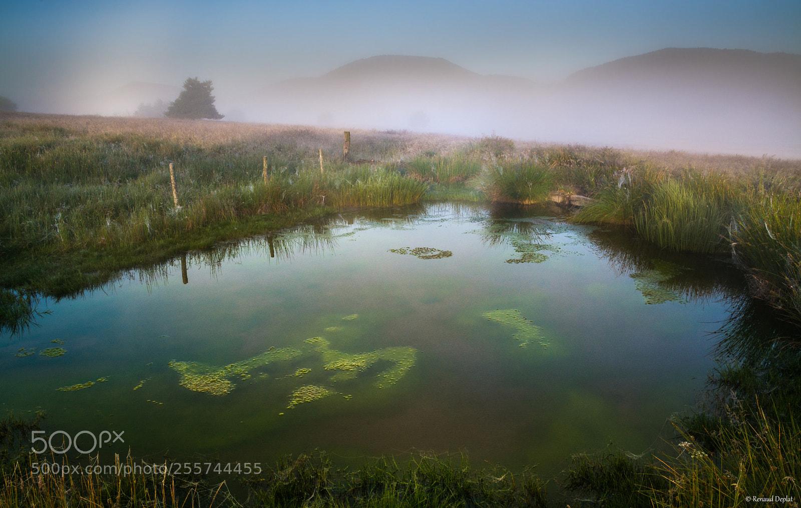 Nikon D7100 sample photo. Petit matin... photography