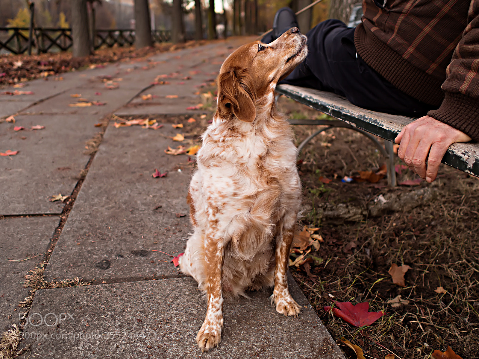 Olympus OM-D E-M5 sample photo. The look of love photography