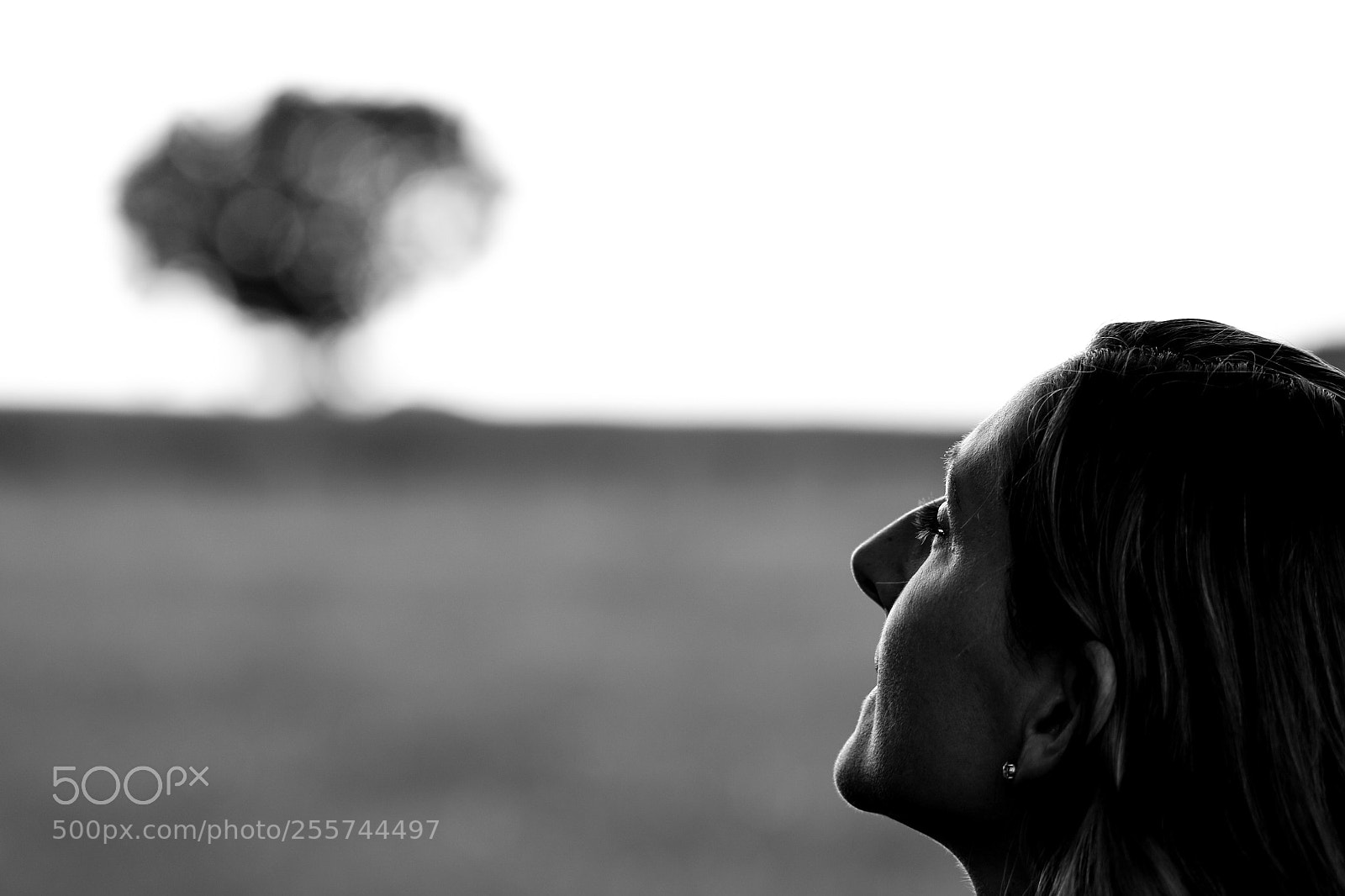 Canon EOS 70D sample photo. Untitled photography
