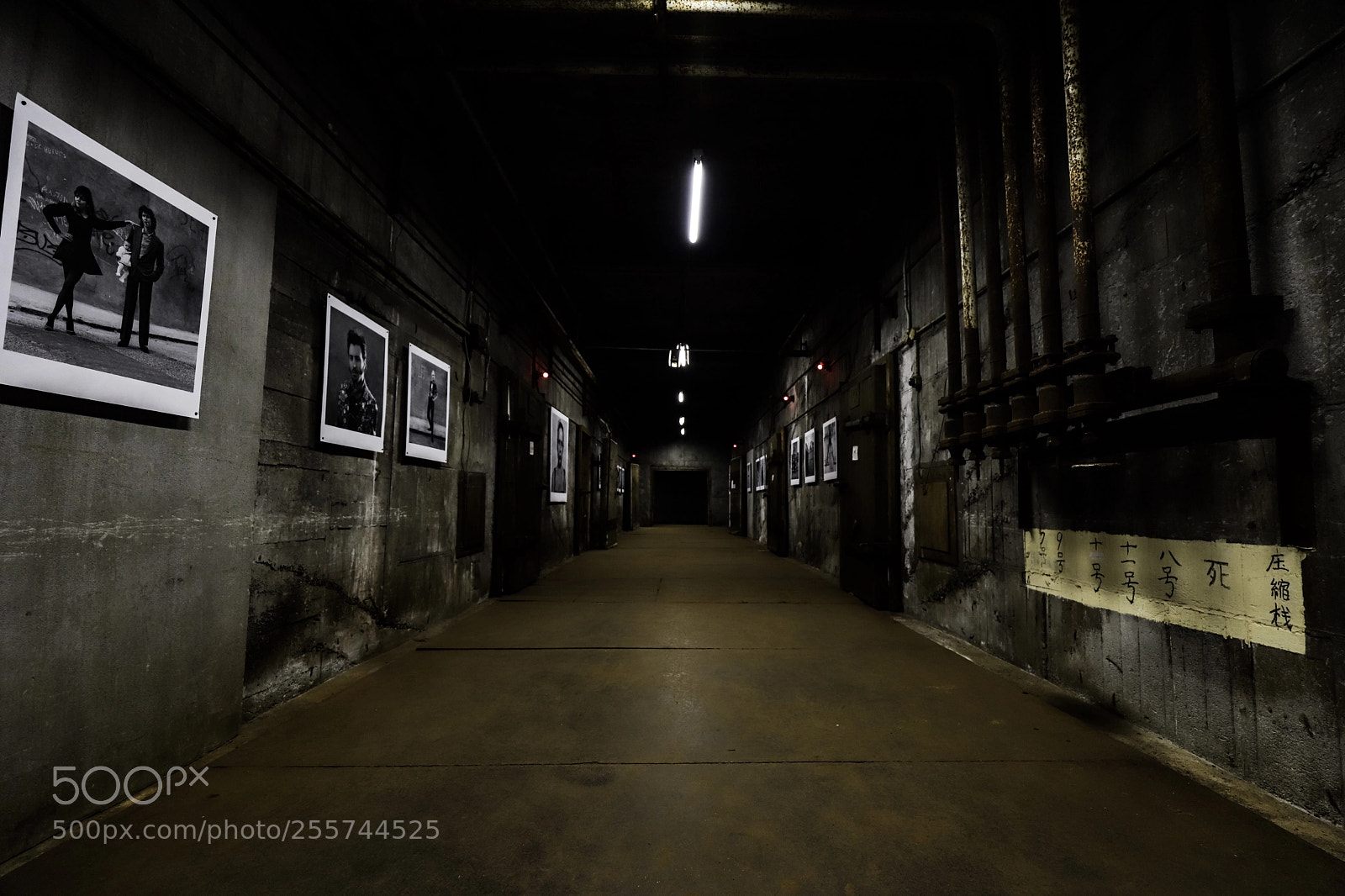 Canon EOS 6D Mark II sample photo. Untitled photography