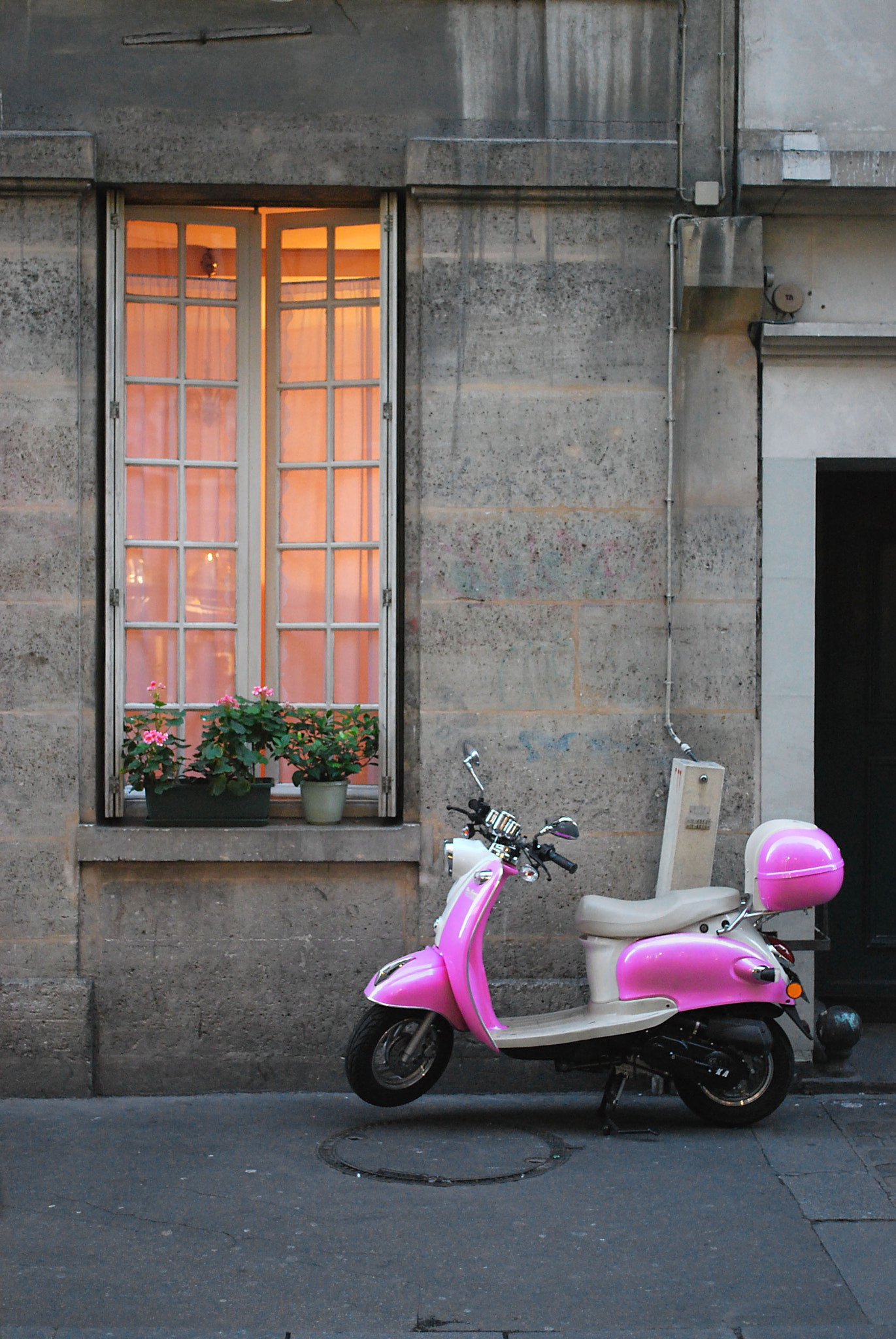Nikon D60 sample photo. Pink photography