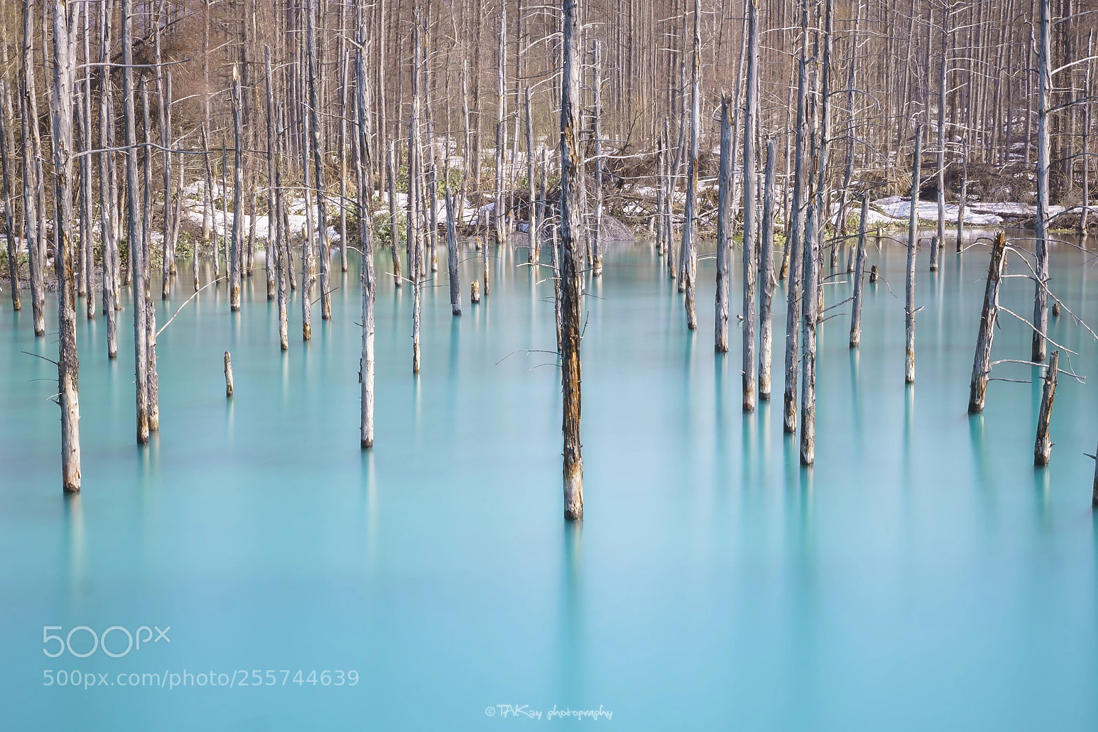 Sony a7R II sample photo. Spring blue pond photography
