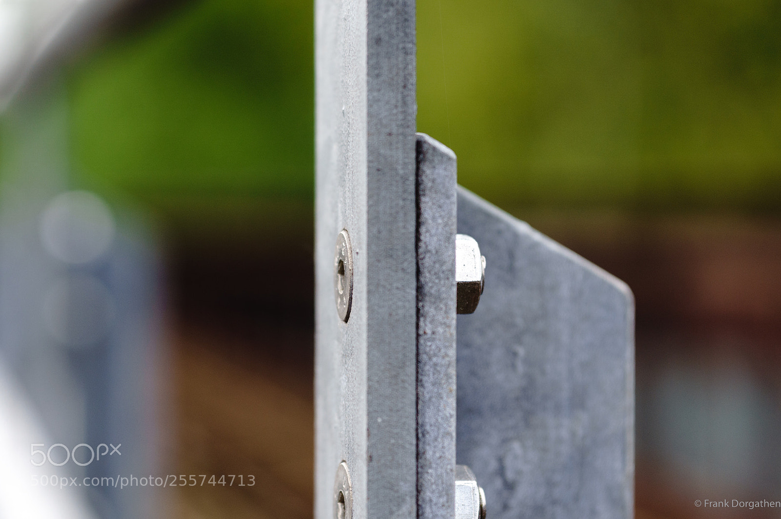 Sony a6000 sample photo. In focus photography
