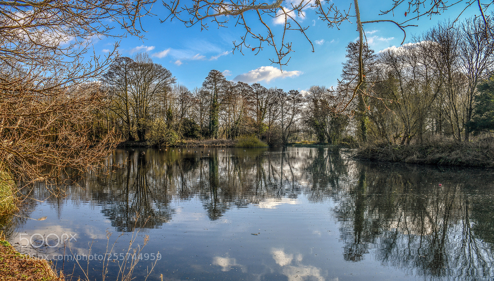 Nikon D500 sample photo. Kingston maurwood photography