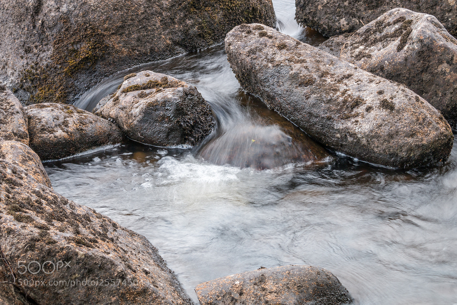 Canon EOS 70D sample photo. Calm down photography