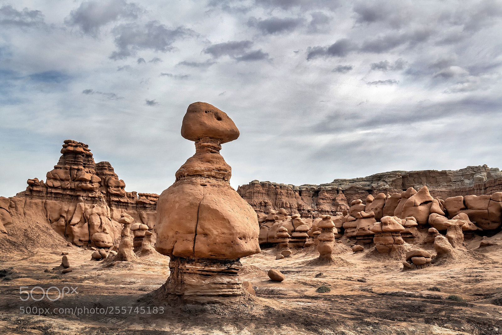 Nikon D850 sample photo. Goblin valley state park photography