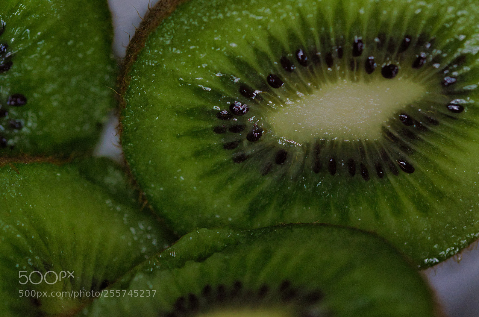 Nikon D7000 sample photo. Kiwi slices photography