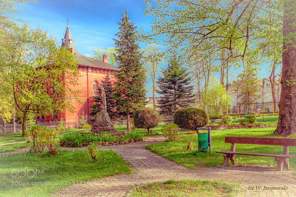 Fujifilm X100T sample photo. Poland. g uszyca- park photography